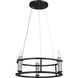 Rosalind 3 Light 19.5 inch Black Chandelier Ceiling Light