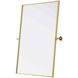 Amoura 36 X 27 inch Brass Mirror
