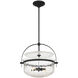 Denmar 4 Light 18 inch Matte Black Covertible SemiFlush Ceiling Light