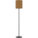 Pole 62.5 inch 100.00 watt Black Floor Lamp Portable Light