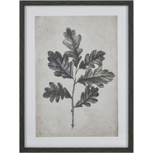 Oak Botanic Black Framed Wall Art, I