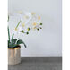 Stripe White Faux Orchid