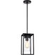 Vado 1 Light 6.38 inch Black Outdoor Pendant Lantern