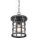 Crusade 1 Light 10 inch Earth Black Outdoor Hanging Lantern