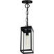 Windsor 1 Light 7 inch Black Outdoor Hanging Light