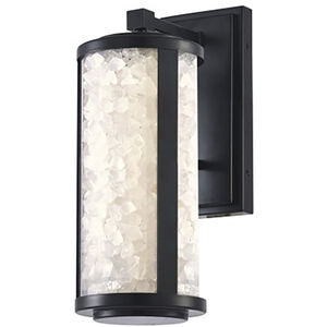 Great Outdoors Salt Creek LED 16 inch Coal Outdoor Wall Sconce