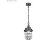 Steel Trap 1 Light 6 inch Graphite with Clear Mini Pendant Ceiling Light