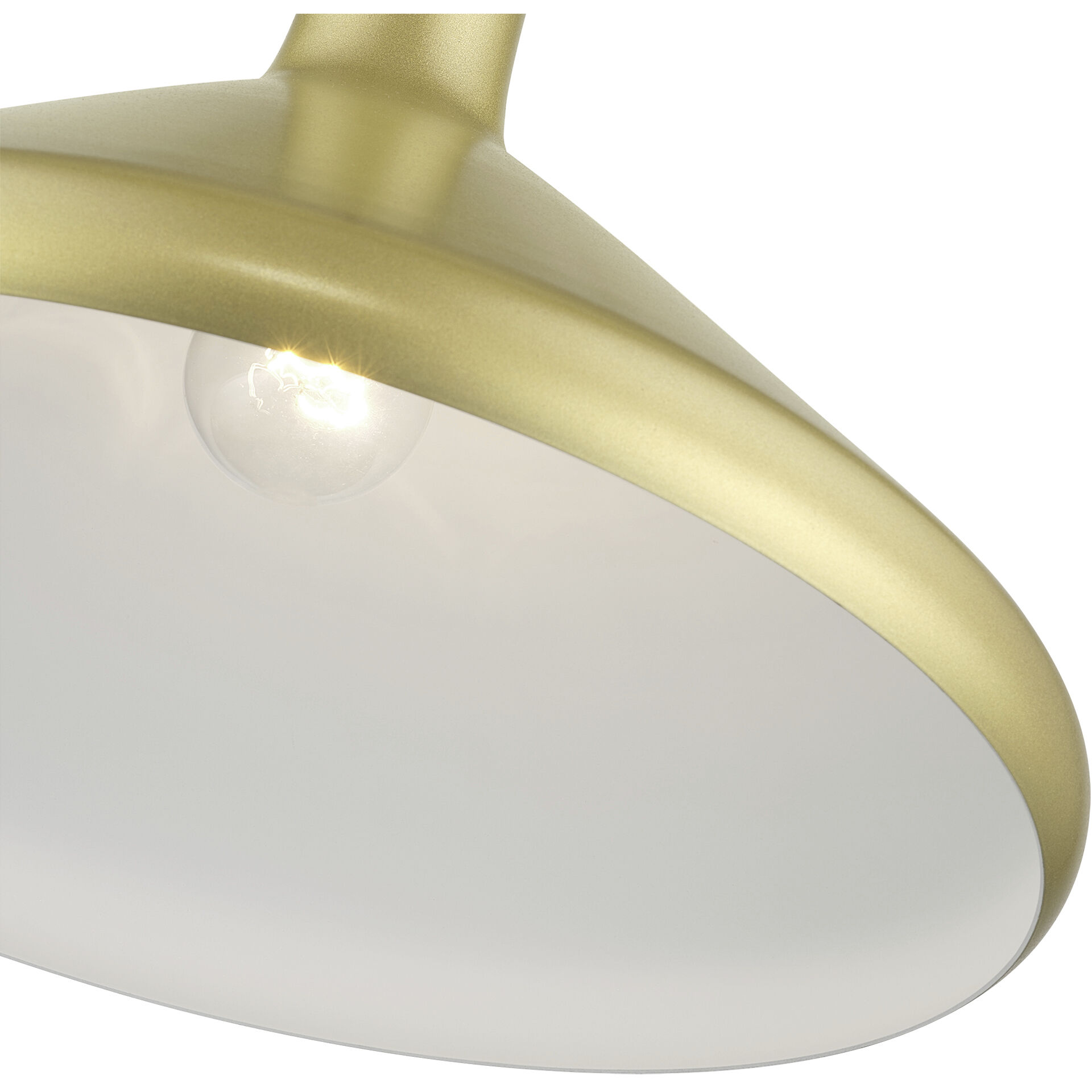 Geneva 1 Light 15.25 inch Soft Gold with Polished Brass Accents Pendant Ceiling Light