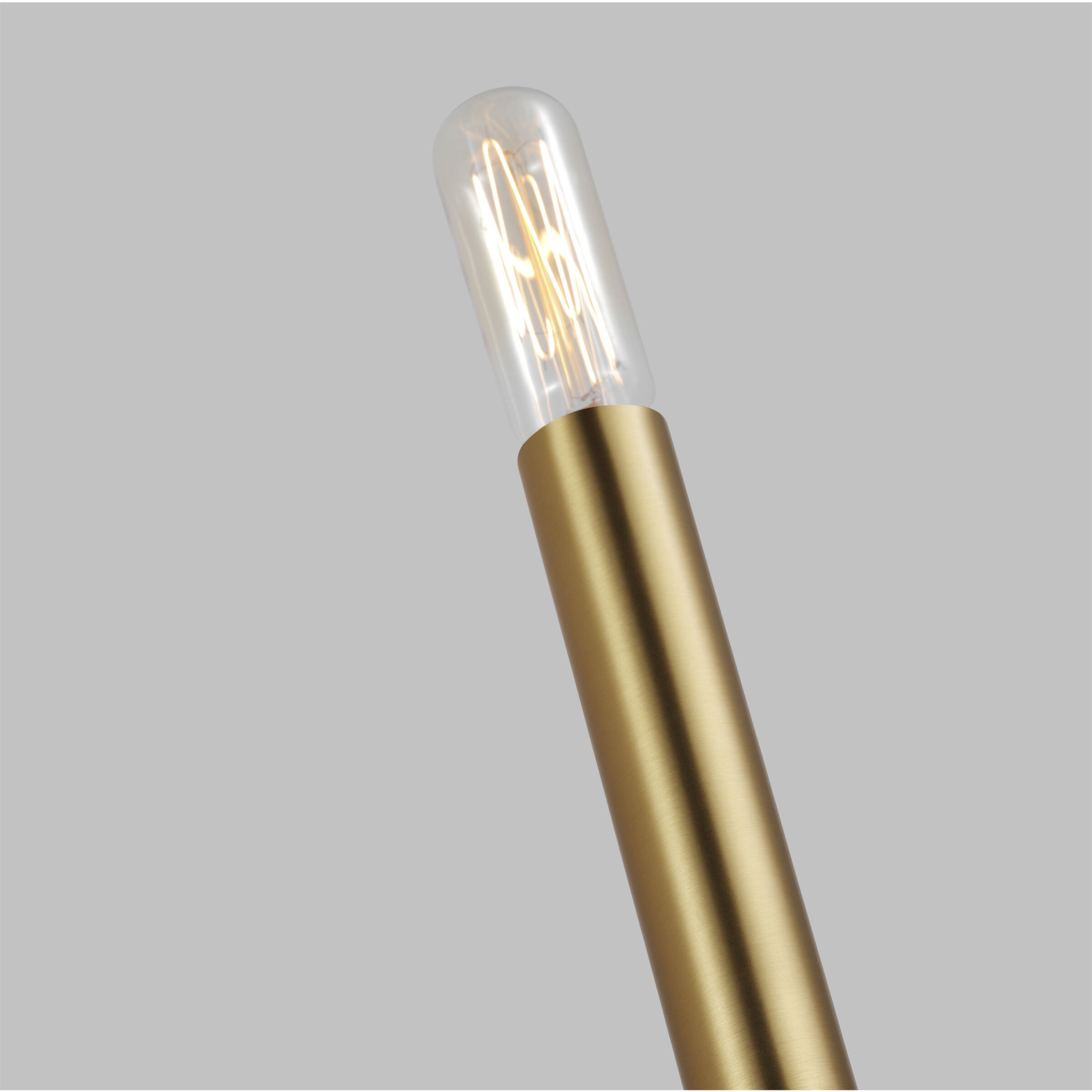 ED Ellen DeGeneres Brianna 1 Light 4 inch Burnished Brass Tail Sconce Wall Light