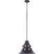 Union 1 Light 15.00 inch Outdoor Pendant/Chandelier