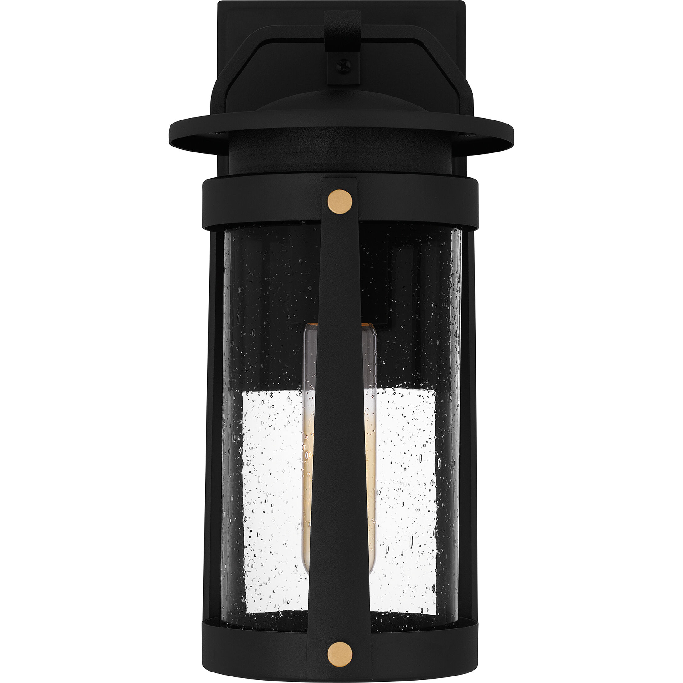 Clifton 1 Light 12 inch Earth Black Outdoor Wall Lantern