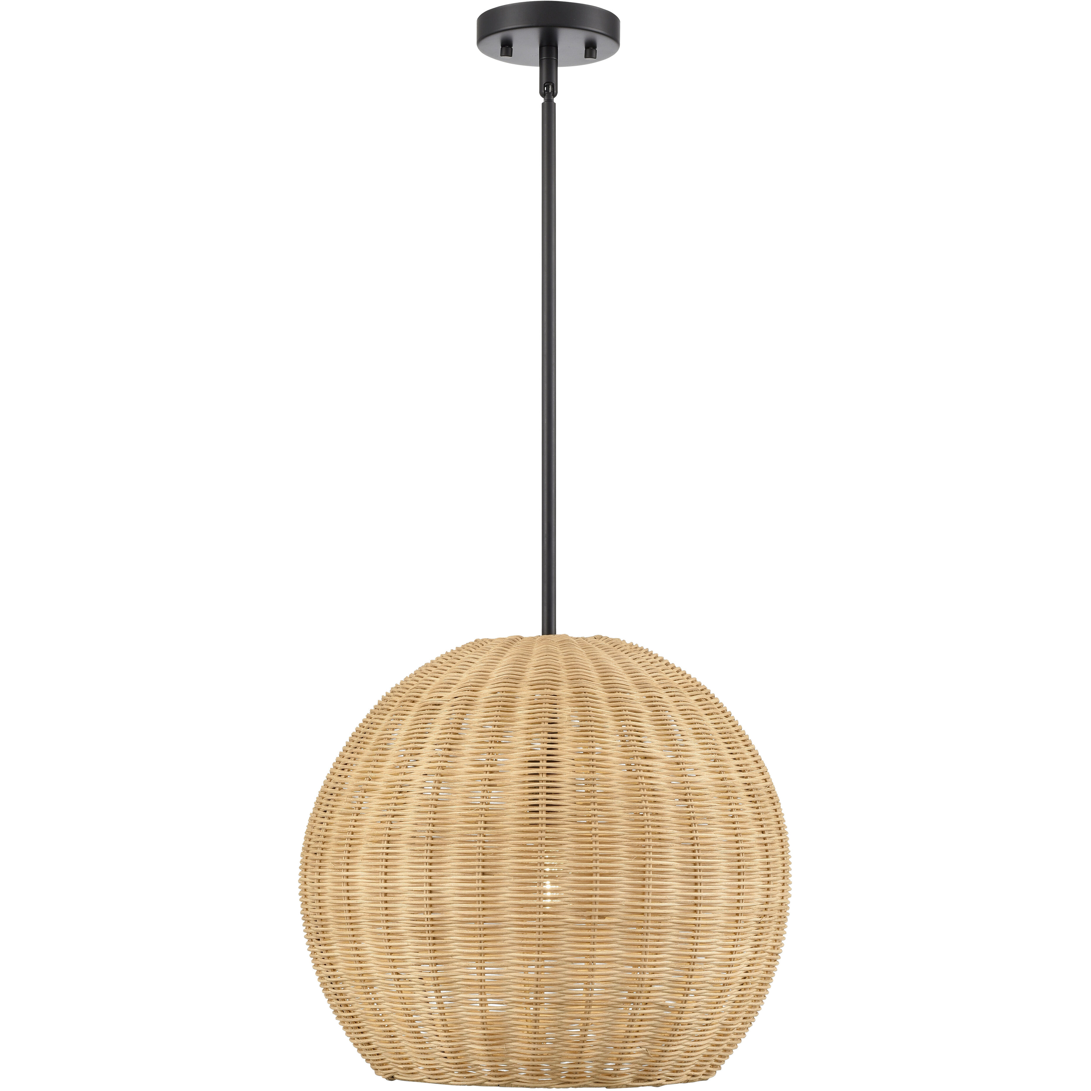 Elise 1 Light 16 inch Matte Black Pendant Ceiling Light