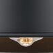 Aditi Briarcliff 1 Light 10 inch Matte Black Flush Mount Ceiling Light, Aditi