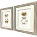 Antique Crab Brown and Neutral and Beige Framed Art, Propac