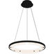 Malik 20 inch Matte Black Pendant Ceiling Light