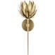 Protea 1 Light 6.75 inch Brass Wall Sconce Wall Light