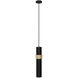 Cicada LED 3 inch Black with Knurled Brass Pendant Ceiling Light