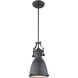 Cresswell Series 1 Light 8.25 inch Matte Black Pendant Ceiling Light