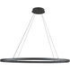 Ovale LED 40 inch Black Linear Pendant Ceiling Light