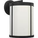 Luning 1 Light Textured Black Outdoor Wall Lantern in Standard