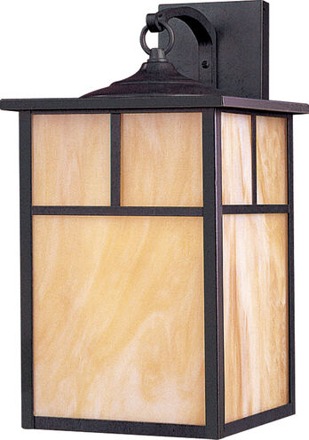 Coldwater 1 Light 16 inch Burnished Outdoor Wall Mount in Honey