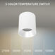 Zoron LED 3.63 inch White and Haze Outdoor Ceiling Lighting in White/Haze