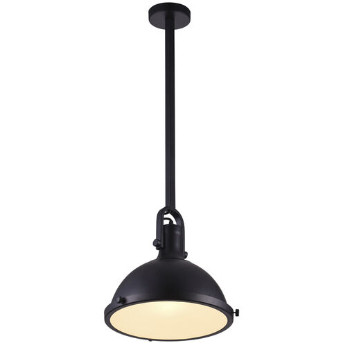 Strum 1 Light 12 inch Black Down Pendant Ceiling Light