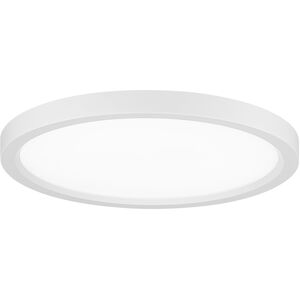 Round LED 15 inch White Flush Mount Ceiling Light