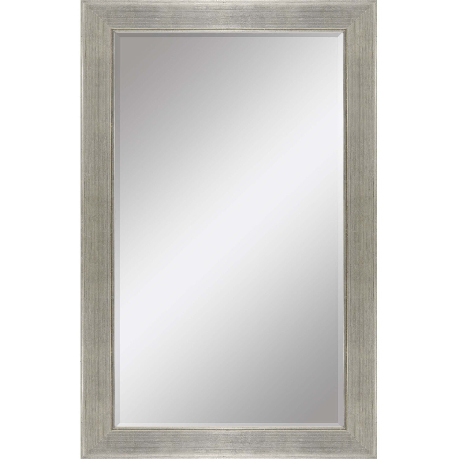 864 Mirror Group 77 X 35 inch Metallic Wall Mirror