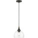 Glendon 1 Light 8.25 inch Bronze with Antique Brass Finish Accents Glass Pendant Ceiling Light in Bronze with Antique Brass Accent