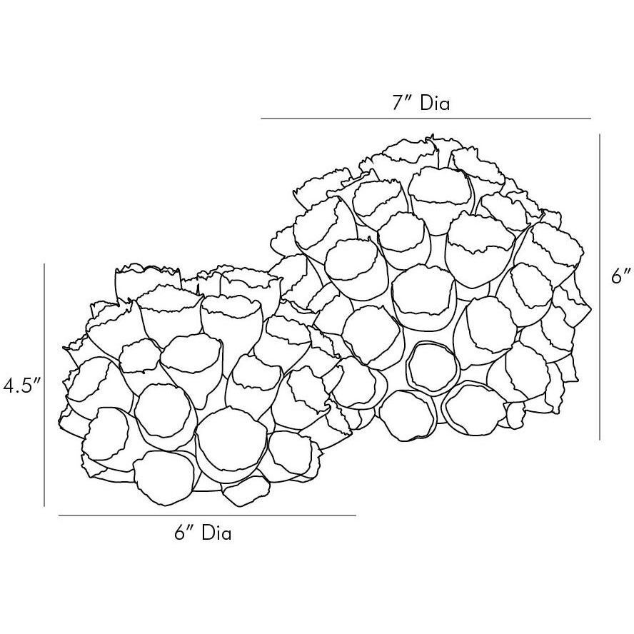 Dakota Vases, Set of 2