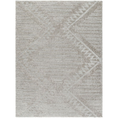 Nomadic 84 X 63 inch Rug