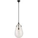 Dewdrop 1 Light 13.5 inch Matte Black Pendant Ceiling Light