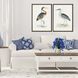 Animals Collection Multi Framed Art