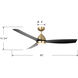 Kylpin 60 inch Brass with Matte Black Blades Indoor/Outdoor Ceiling Fan
