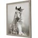 Animals Collection Beige Framed Art