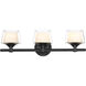 Laguna 3 Light 24 inch Matte Black Bath Vanity Light Wall Light in Incandescent