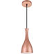 Aiken 1 Light 5.5 inch Honey Gold Pendant Ceiling Light