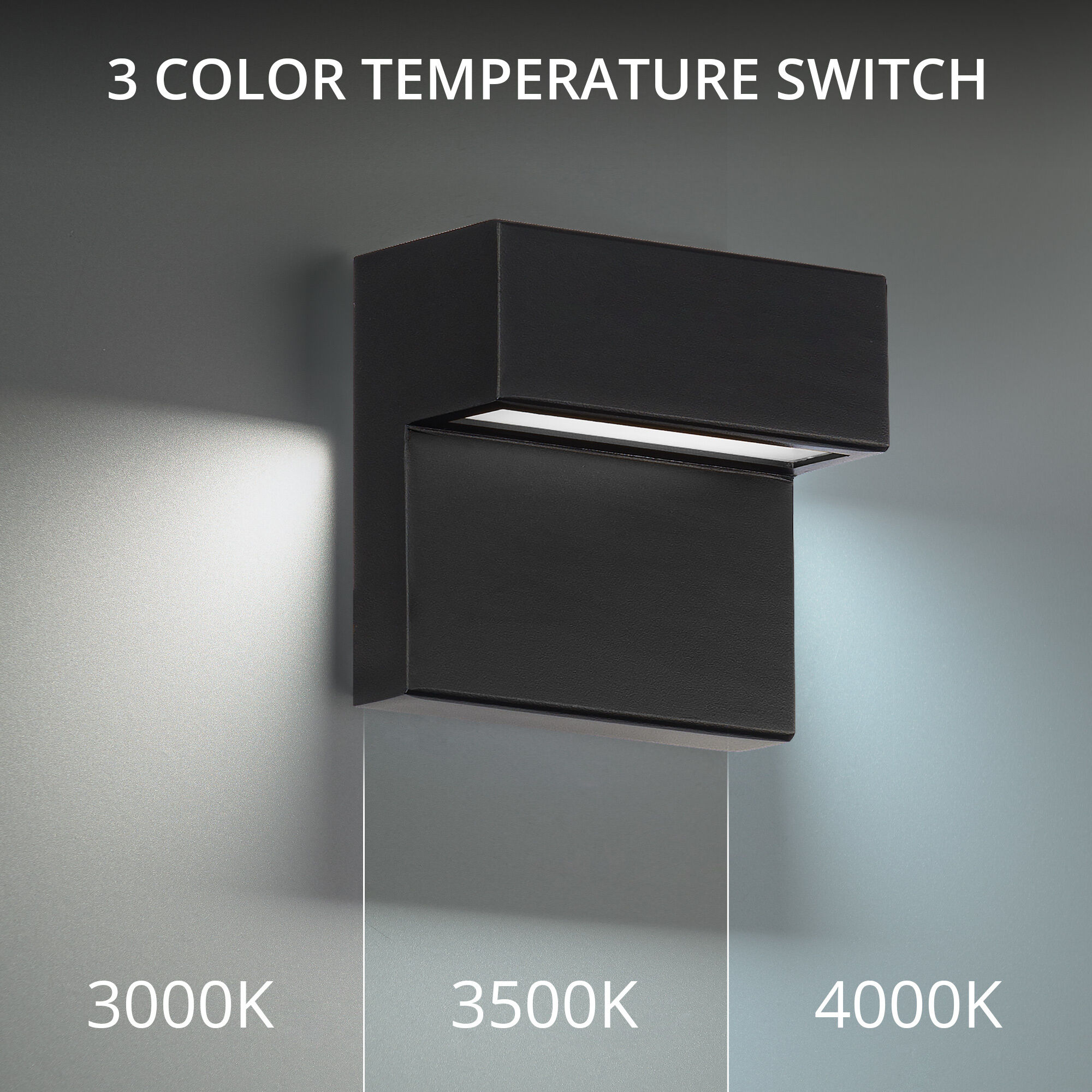 Balance LED 6 inch Black Outdoor Wall Light in 4000K, dweLED