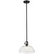 Hampton 1 Light 13 inch Graphite Pendant Ceiling Light
