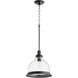 Fort Worth 1 Light 12 inch Noir Pendant Ceiling Light