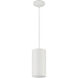 Pilson XL LED 6 inch Matte White Pendant Ceiling Light
