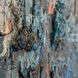 Liu Wall Art