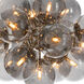 Shine 17 Light 33.75 inch Polished Nickel Chandelier Ceiling Light in Smoke Glass