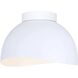 Henlee 2 Light 11 inch White Flush Mount Ceiling Light
