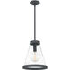 Quoizel 1 Light 13 inch Mottled Black Mini Pendant Ceiling Light