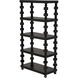 Moabite Hand Rubbed Black Bookcase
