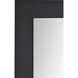 Salima 36 X 24 inch Matte Black and Clear Mirror
