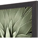 Green Succulent Green and Black and Neutral Framed Art
