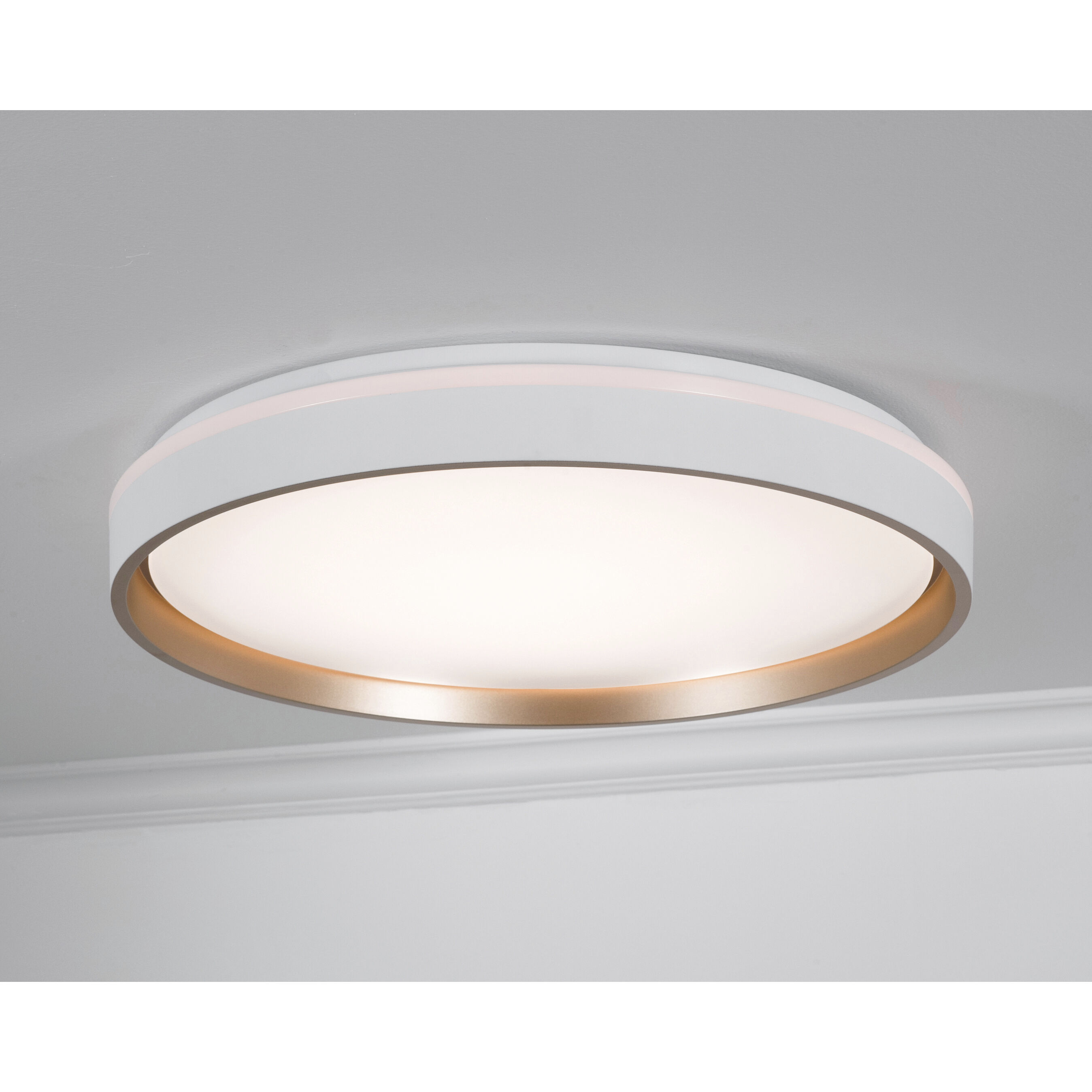 Rana LED 19 inch White Flush Mount Ceiling Light